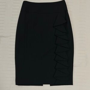Express Women’s Form Fitting Skirt